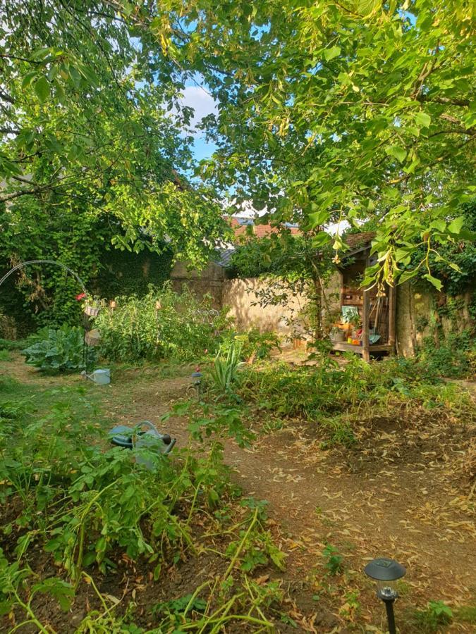 Le Clos Du Moulin Dijon,Niche En Pleine Verdure,Au Calme, La Campagne A La Ville Esterno foto